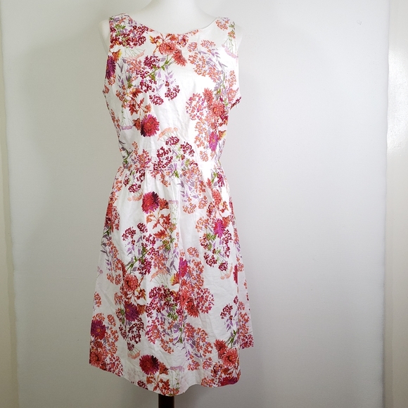 Garnet Hill Cotton Floral A Line Dress 12 - Picture 7 of 7
